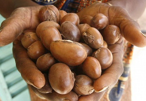 Load video: Why East African Shea Butter Is So Expensive | So Expensive | Business Insider